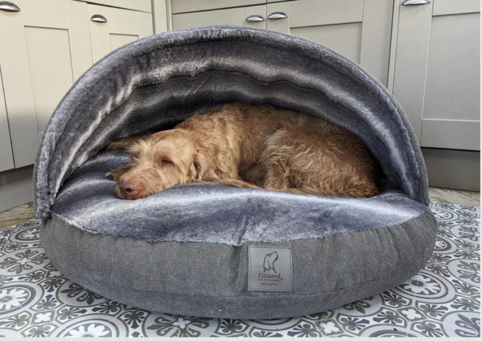 Collared Creatures - Grey Luxury Dog Cave Bed - Removable Hood