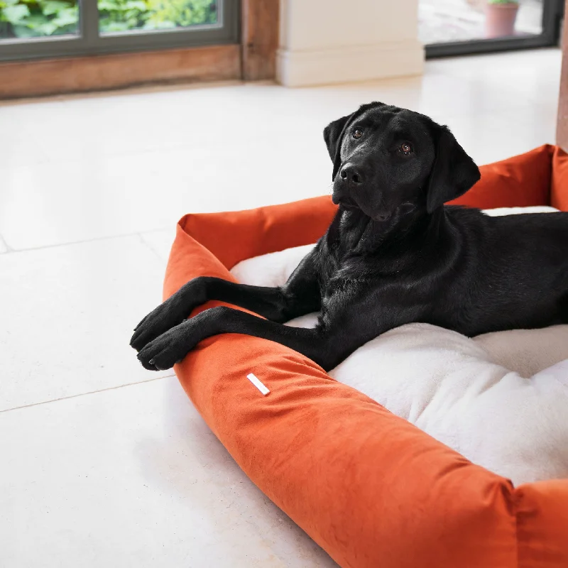 Personalised Box Bed For Dogs In Pumpkin Velvet By Lords & Labradors