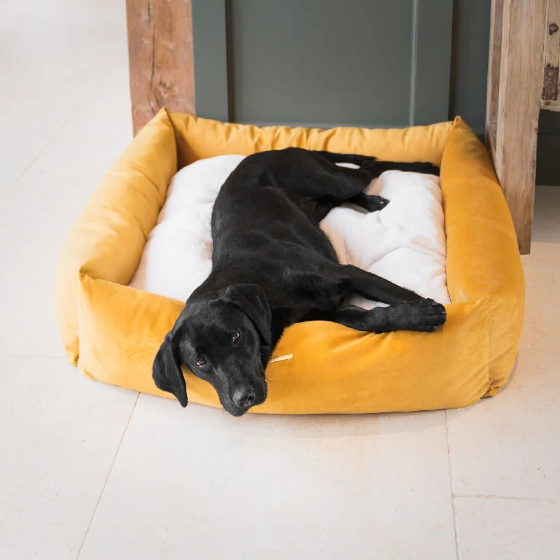 Personalised Box Bed For Dogs In Saffron Velvet By Lords & Labradors