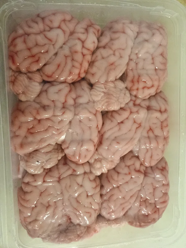 Lambs Brains