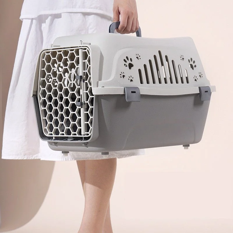 Gentle Paws™ Plastic Cat Carrier