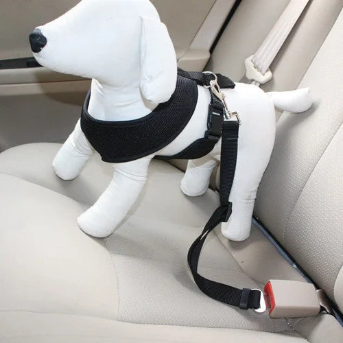 safety belt