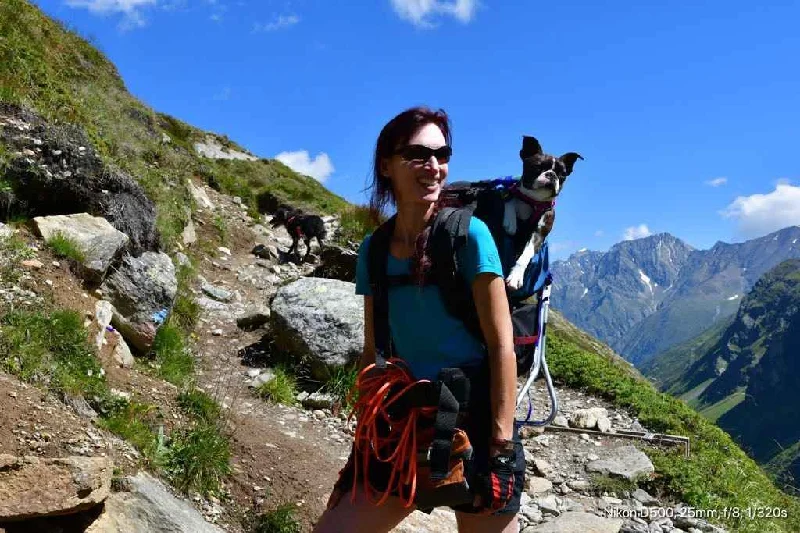 DOG PERCH BACKPACK