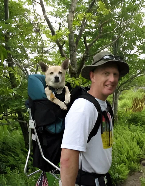 PALMINO DOG PERCH BACKPACK (Up to 20 lbs)