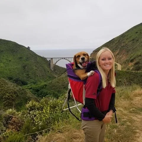 MUSTANG DOG PERCH BACKPACK (Up to 35 lbs)