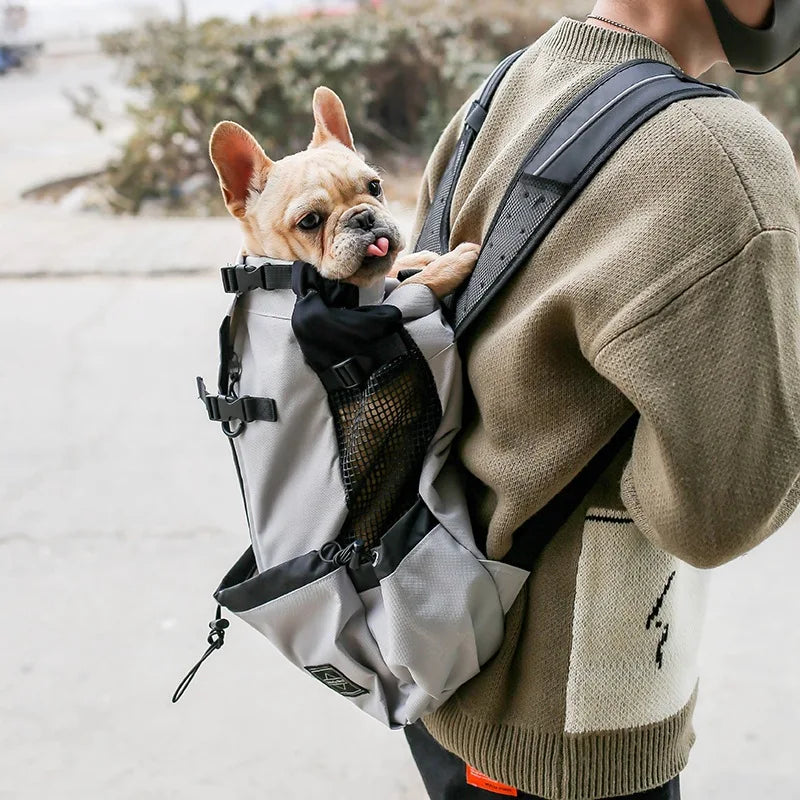 Outdoor Travel Puppy Medium Dog Backpack | Breathable Walking Carrier Bag for Small Dogs | French Bulldog Accessories | Pet Supplies | Alo Trendy