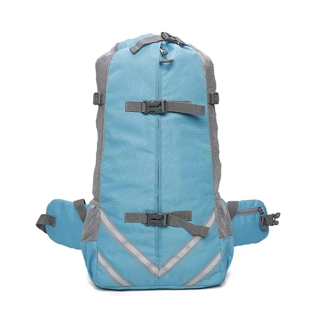 Light Blue : Pet Carrier