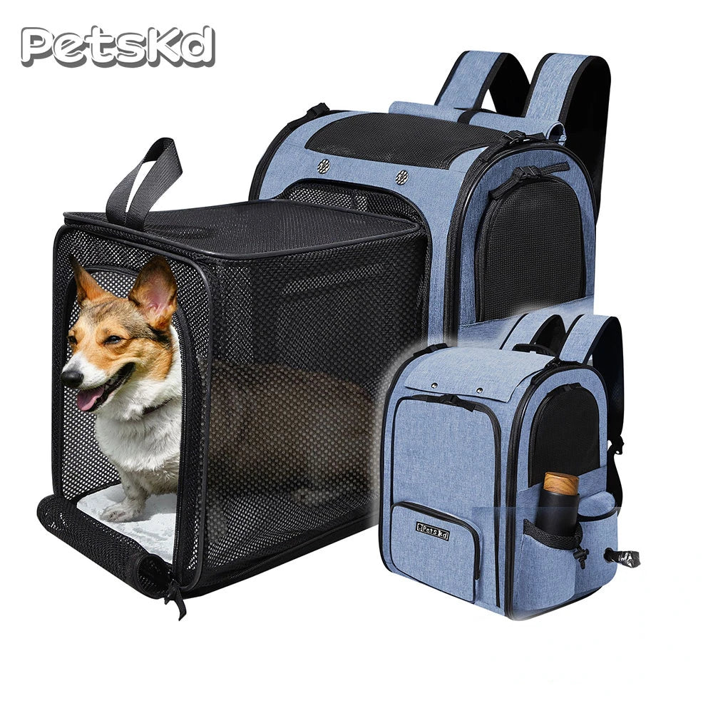 Pet Backpack | Expandable Foldable Cat Carrier | Transport Bag for Small and Medium Dogs and Cats | Large Space Carrier with Zipper | Alo Trendy