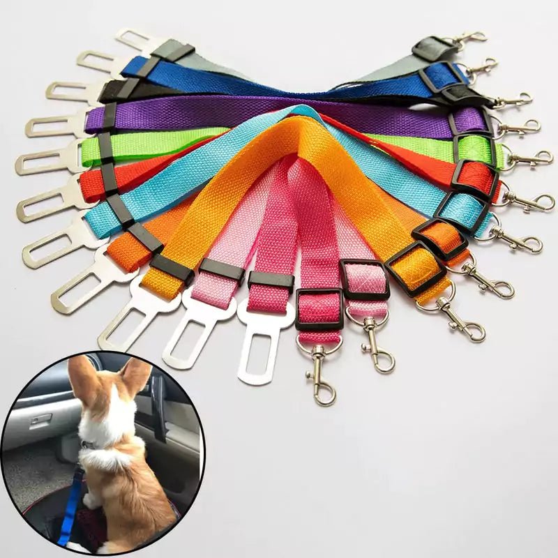 Pet Car Seat Belt