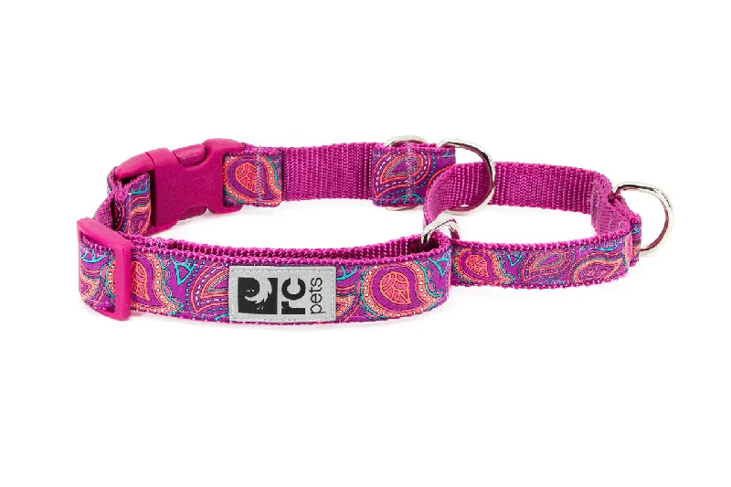 RC Pets Easy Clip Web Training Collar  Bright Paisley (DISCONTINUED) SALE