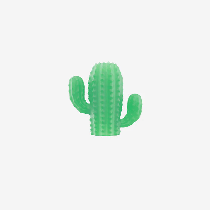 Cactus | Zee.Pinz