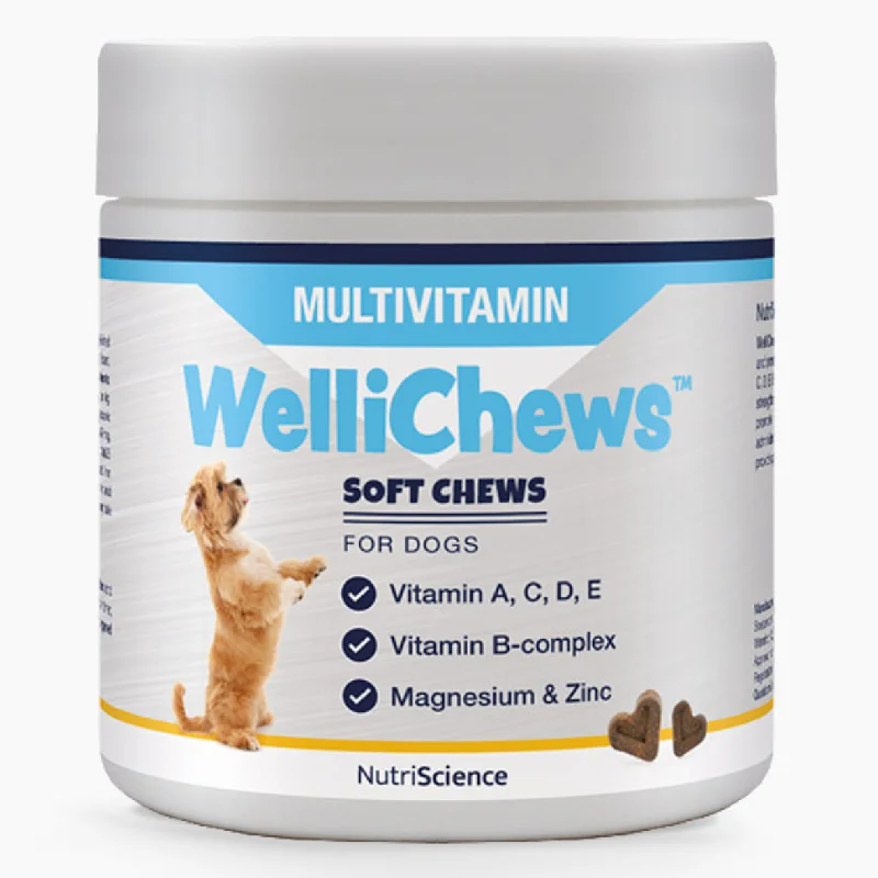 WelliChews™ Multivitamin Soft Chews for Dogs 60