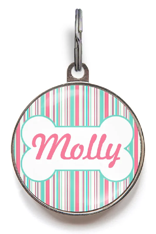 Aqua & Pink Stripe Dog ID Tag