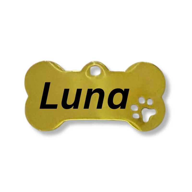 Stainless Steel Dog Name Tag Gold Bone